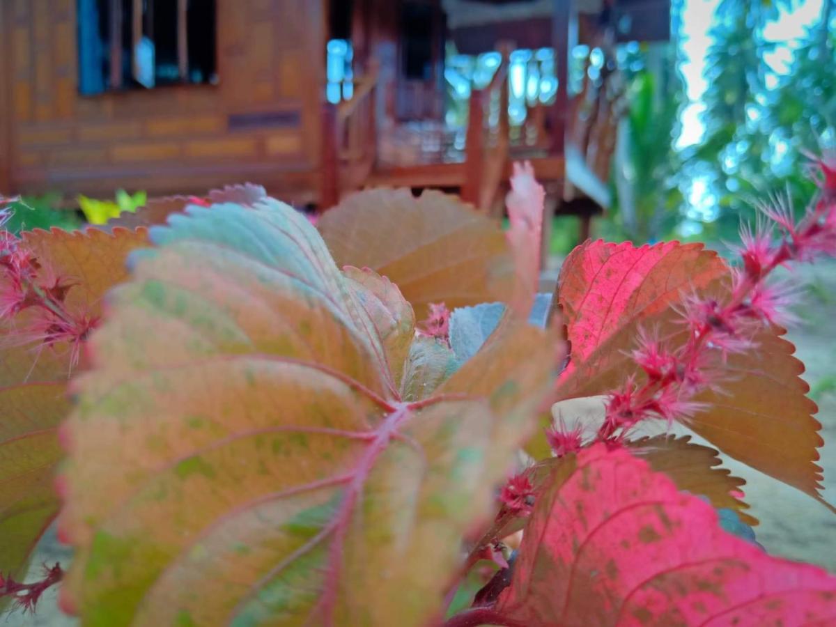 Walk In Homestay Ko Kut エクステリア 写真